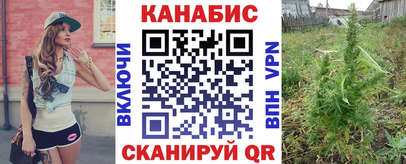 Марихуана AK-47  купить закладку  Жиздра 